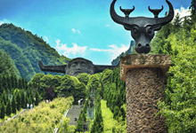 What are the major attractions in Shennongjia, China？